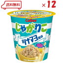 (販路限定品) カルビー じゃがりこ ツナマヨ風味 52g ×12個 箱買い 詰合せ スナック おやつ おつまみ お買い得品 賞味期限2025年9月8日