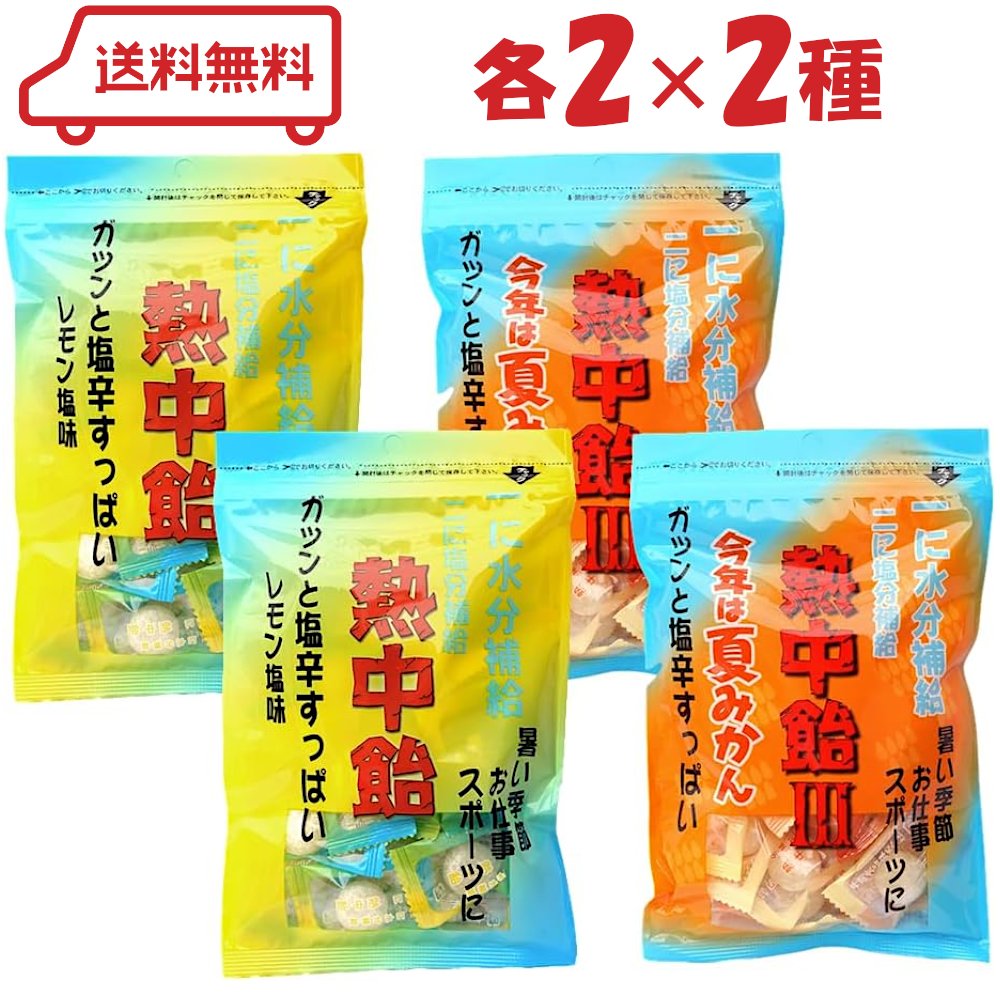 井関食品 熱中飴 2種( レモン塩 / 夏みかん )各2袋 計4袋 | アソート 熱中症 対策 塩分補給 糖分補給 沖縄の塩 個包装 クエン酸 スポーツ 運動 ...