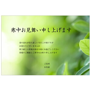 【あなたのあいさつ文を入れて1枚から印刷OK!】寒中見舞い はがき お見舞い オリジナル 寒中葉書 終活 年賀状 年賀状終い 返礼 お詫び 松の内 差出人印刷有セール 年賀状印刷 年賀状作成ソフト セール