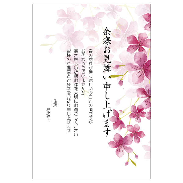 【あなたのあいさつ文を入れて1枚から印刷OK！】余寒見舞い はがき お見舞い オリジナル 余寒葉書 終活 年賀状 年賀状終い 返礼 お詫び 松の内 差出人印刷有バーゲン　年賀状印刷　年賀状作成ソフト　セール