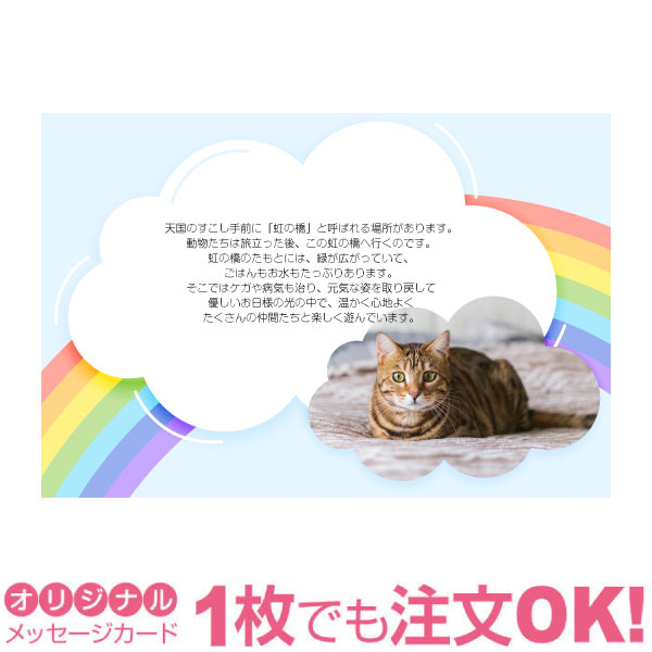 【大切なペットの写真を入れて1枚から印刷OK】ペット メモリアルカード 虹の橋 花と虹 愛犬 愛猫 愛鳥 カード ギフト グリーティング 贈り物 感謝 メッセー...
