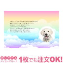 【大切なペットの写真を入れて1枚から印刷OK】ペット メモリアルカード 虹の橋 花と虹 愛犬 愛猫 愛鳥 カード ギフト グリーティング 贈り物 感謝 メッセー...
