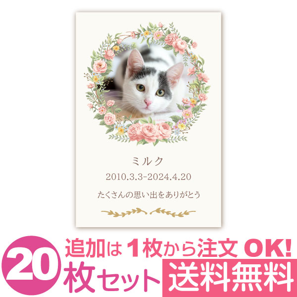 【大切なペットの写真を入れて1枚から印刷OK】20枚セット ペット メモリアルカード 虹の橋 花と虹 愛犬 愛猫 愛鳥 カード ギフト グリーティング 贈り物 感謝 メッセージカード オリジナル お返し おしゃれな 挨拶状 ペットロス お悔み お礼 葉書