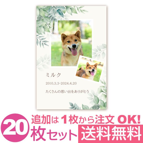 オリジナルのあいさつ文は、商品注文後「注文番号」を記入のうえ、下の専用ホームよりお送りください。 商品詳細 内容 各種オリジナルメッセージカード 1枚づつ透明袋に入れて発送（はがき仕様は透明袋なし） 1枚～注文可 サイズ 100×148mm 素材 ・写真光沢紙 ・マット紙（光沢なし） 上記2種類よりお選びいただけます。 あいさつ文 お客様のオリジナル文で作成 ご注意 サイトに表示されている画像は、モニターの発色の具合によって、色など印刷仕上りとは異なることがありますので、予めご了承ください。　　 　　