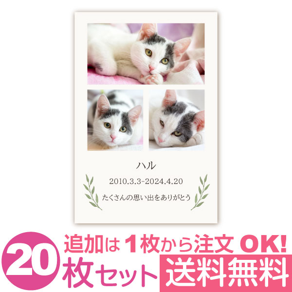 オリジナルのあいさつ文は、商品注文後「注文番号」を記入のうえ、下の専用ホームよりお送りください。 商品詳細 内容 各種オリジナルメッセージカード 1枚づつ透明袋に入れて発送（はがき仕様は透明袋なし） 1枚～注文可 サイズ 100×148mm 素材 ・写真光沢紙 ・マット紙（光沢なし） 上記2種類よりお選びいただけます。 あいさつ文 お客様のオリジナル文で作成 ご注意 サイトに表示されている画像は、モニターの発色の具合によって、色など印刷仕上りとは異なることがありますので、予めご了承ください。　　 　　