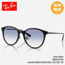 RayBan レイバン サングラス RB4334D RB4334D 601/19 55-19【送料無料】(4)