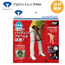 【ダイヤゴルフ】 ダイヤプロパットレッグ466 TR-466 【送料無料】