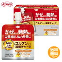 興和 コルゲンコーワ滋養チャージ 100mL 【送料無料】