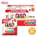 興和 キューピーコーワαチャージ 100mL アップル風味 【送料無料】キューピーコーワJK