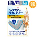 バンテリンコーワ リカバリー アームスリーブ 腕用2枚入り アッシュグレイ ふつう〜大きめサイズ【メール便送料無料】※パッケージデザイン変更しています。