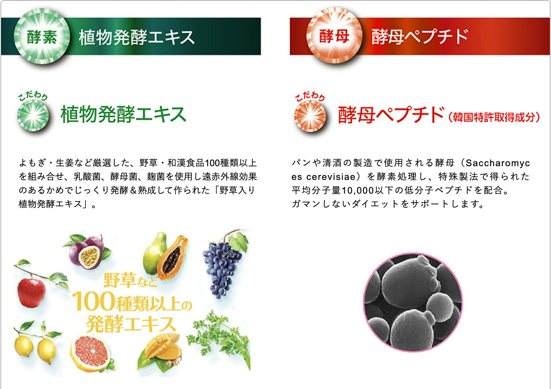 安心のメタボリック公式ショップカラダ整ってスッキリ 53kcal おいしいグレープフルーツ味 3箱セット 酵素 酵母 イースト エンザイム ダイエット ゼリー グレープフルーツ味 150g 6袋入 メタボリック 男性 ファスティング 買取 ミネラル ビタミン 酵素ゼリー 食事