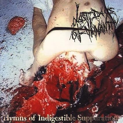 【中古】Hymns of Indigestible / Last Days of Humanity（帯なし）