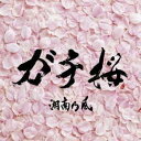 【中古】ガチ桜 / 湘南乃風 （帯なし）