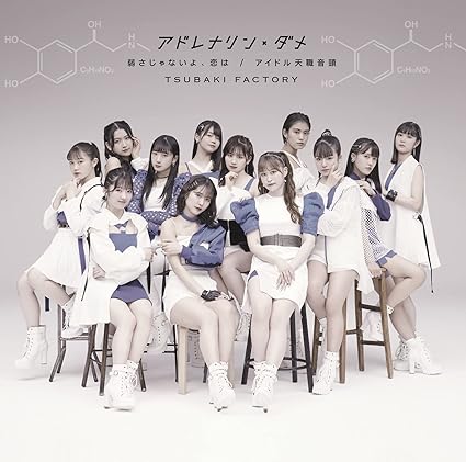 中古につき手入れ作業（研磨＆特殊ケースは除き中古ケースから新品ケースへの交換）を行っております。経年劣化により稀に視聴不可となってしまっている場合がございますので、不良の場合はお問い合わせまでご連絡下さい。・注意事項：モニターの発色によって、実際のものと色が異なる場合がございます。 ・古物商許可証番号：第211170000985