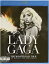 šLady Gaga: Monster Ball Tour at Madison Square Garden [Blu-ray] [Import]Ӥʤ