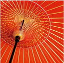 【中古】風恋花凛 / 音速ライン(帯なし)
