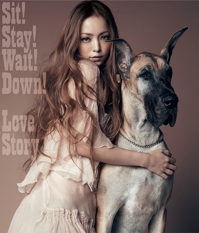 【中古】Sit! Stay! Wait! Down!/Love Story(DVD付) / 安室奈美恵 （帯なし）