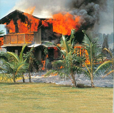 【中古】EVERYTHING IS MY FAULT / SBK（帯あり）