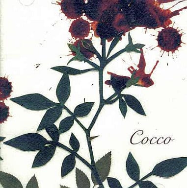 【中古】サングローズ / Cocco（帯あり）