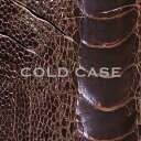 【中古】COLD CASE(vister)(DVD付) / vistlip(帯無し)