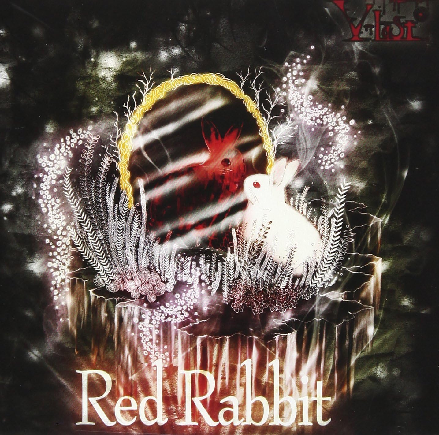 【中古】Red Rabbit / V-last.（帯あり）