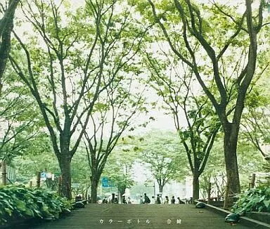 【中古】合鍵 / カラーボトル（帯あり）