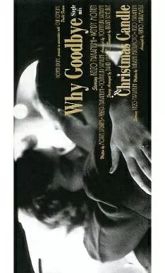 ����š�Why Goodbye (8cm) / ������������̵����