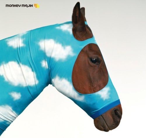 【中古】空はまるで / Monkey Majik（帯無し）