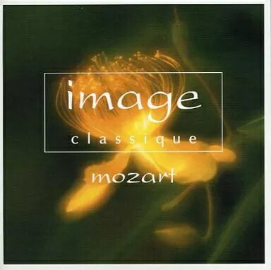 ����šۥ��ޡ����� ���饷�������⡼�ĥ���ȡ��Ӥ����