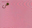 【中古】shamanippon-ラカチノトヒ- / 堂本 剛(帯無し)