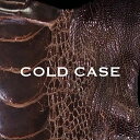 【中古】COLD CASE / vistlip (帯あり)