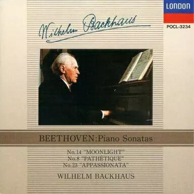 MetaCyVerse㤨֡šۥ١ȡ󡧥ԥΡʥַסȡסǮ / إࡦХåϥ̵ˡפβǤʤ600ߤˤʤޤ