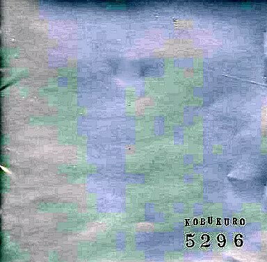 楽天市場】コブクロ 5296 初回限定盤の通販