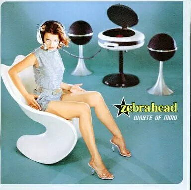 【中古】WASTE OF mino / zebrahead （帯無し）