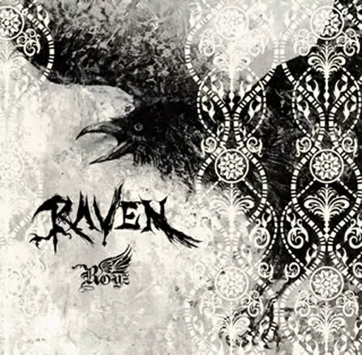 【中古】RAVEN / Royz （