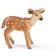 【新品未開封・未使用品】Schleich シュライヒ 動物フィギュア オジロジカ(仔) 14256(3)