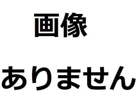 【中古】イン・ザ・ウェイク・オブ・ザ・ウインド,風を追って/デビット・アーカンストーン（帯あり）