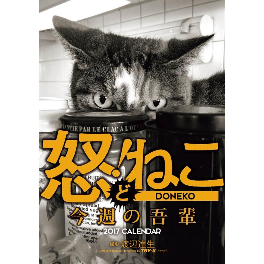 怒 ねこ 今週の吾輩 2017年 カレンダー 壁掛け A5 CL-364