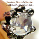 つけっぱなし ピアス ステンレス シンプル 金属アレルギー ステンレス ピアス メンズ ステンレスピアス ピアス ステンレス アクセサリー 金属アレルギー対応 ...