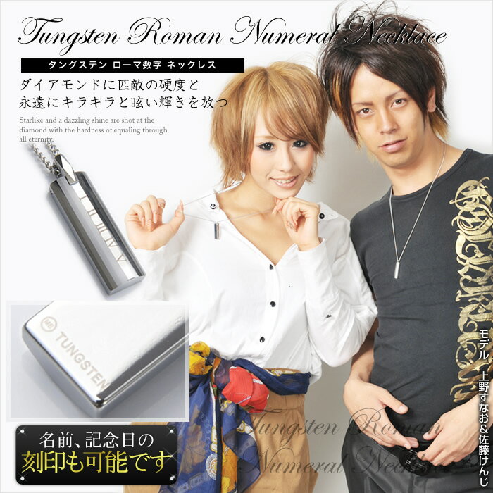 tsn013