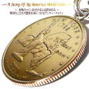 ニューヨーク 州 アメリカ 世界のコイン チタン ネックレス チェーン チタン チタンチェーン チタンネックレス 楽天 外国 コイン ペンダント コインネックレ...