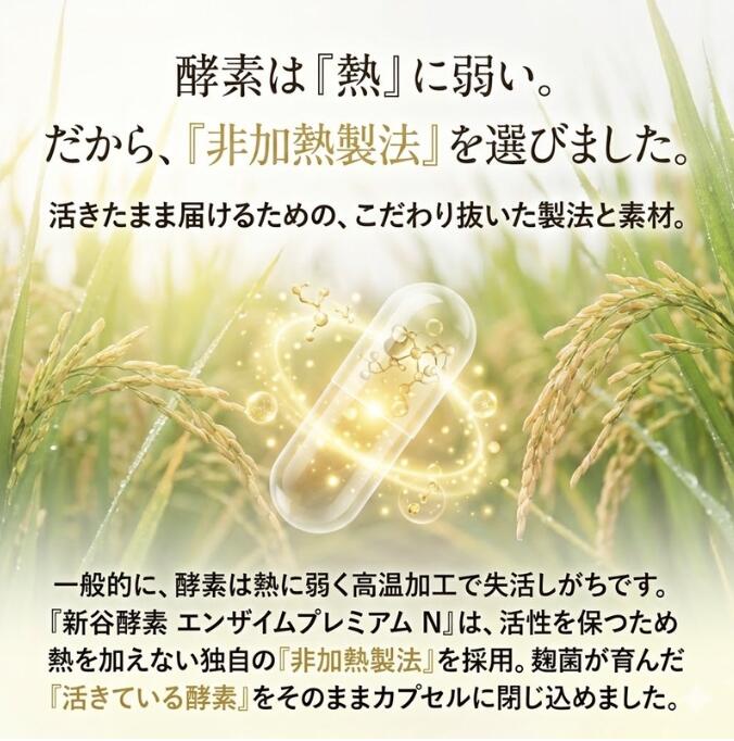 新谷酵素 エンザイムプレミアム エンザイム 酵素 N 210カプセル入 酵素サプリ 植物...