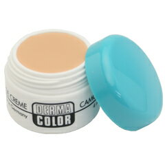 DERMA COLOR ダーマカラー パーフェクトコンシーラー化粧下地 シミ アザ ニキビ☆☆