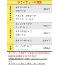 体操着 半そで体操シャツ オレンジ 90-140 (ゆうパケット2枚まで可) 2