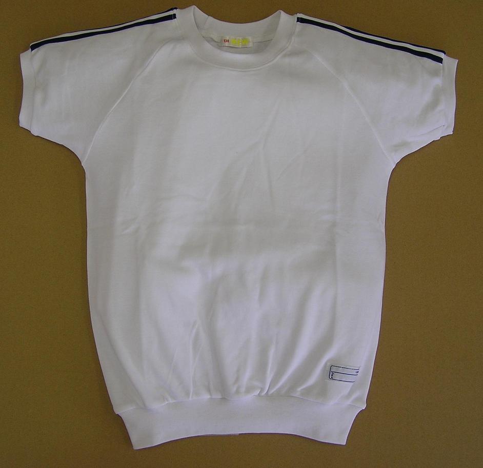 体操着 半そで体操シャツ(肩ライン2本入り) 青 150-160 (ゆうパケット1枚のみ)