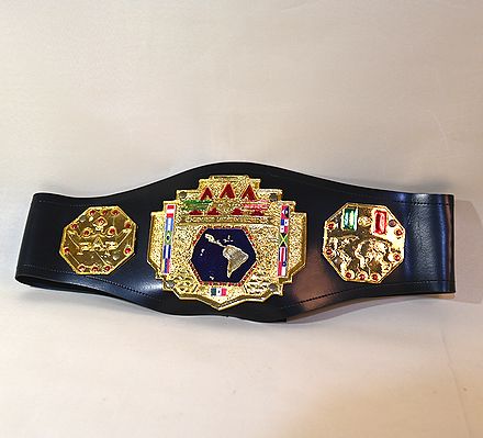 楽天市場】プロレス チャンピオンベルト（ホビー）の通販