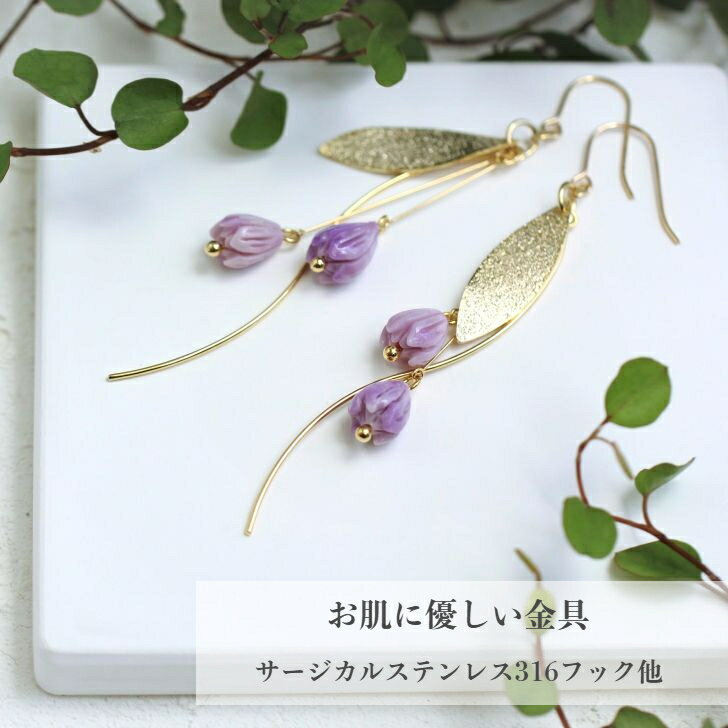 翧鲥 ܥ˥ԥ ԥ  ꥹޥץ쥼  ե 饤ȥѡץ ǡ ܥ˥ Ĥܤ ʪ ...