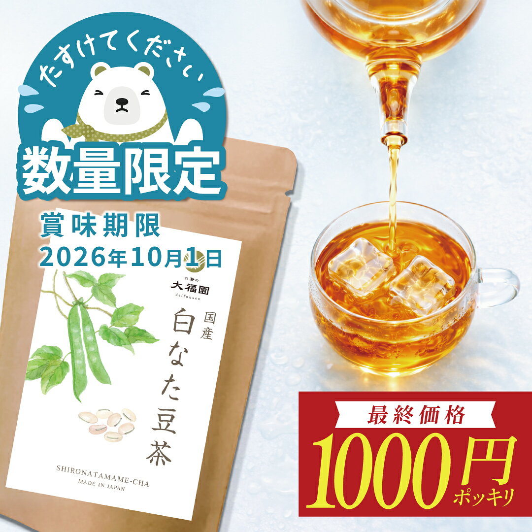 【訳あり・数量限定】お茶の大福園 ごぼう茶 国産 2g×40包 送料無料 ティーバッグ ゴボウ茶 健康茶 ノンカフェイン 【賞味期限：2026年7月01日まで】