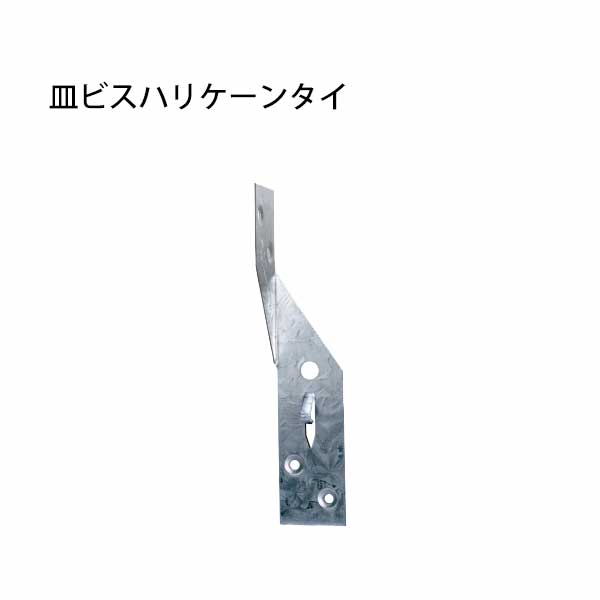 樂天商城 - カナイ 皿ビスハリケーンタイ 200個 442-9637 基礎 内装 構造金物 土台