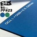 第一大宮 養生くん PP-23 青/緑 30枚 厚さ 2.3mm 850mm×1700mm プラスチック養生ボード 養生ボード 床養生材 壁養生材 帯電防止 引越し 搬入